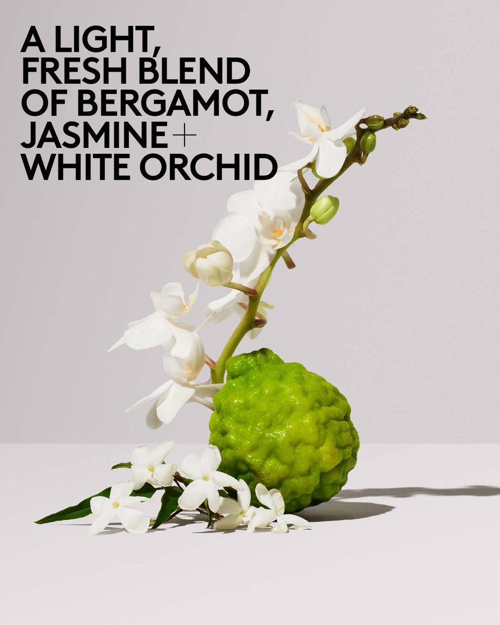 Butta Drop Hydrating Body Milk — Vanilla Dream