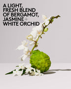 Butta Drop Hydrating Body Milk — Vanilla Dream