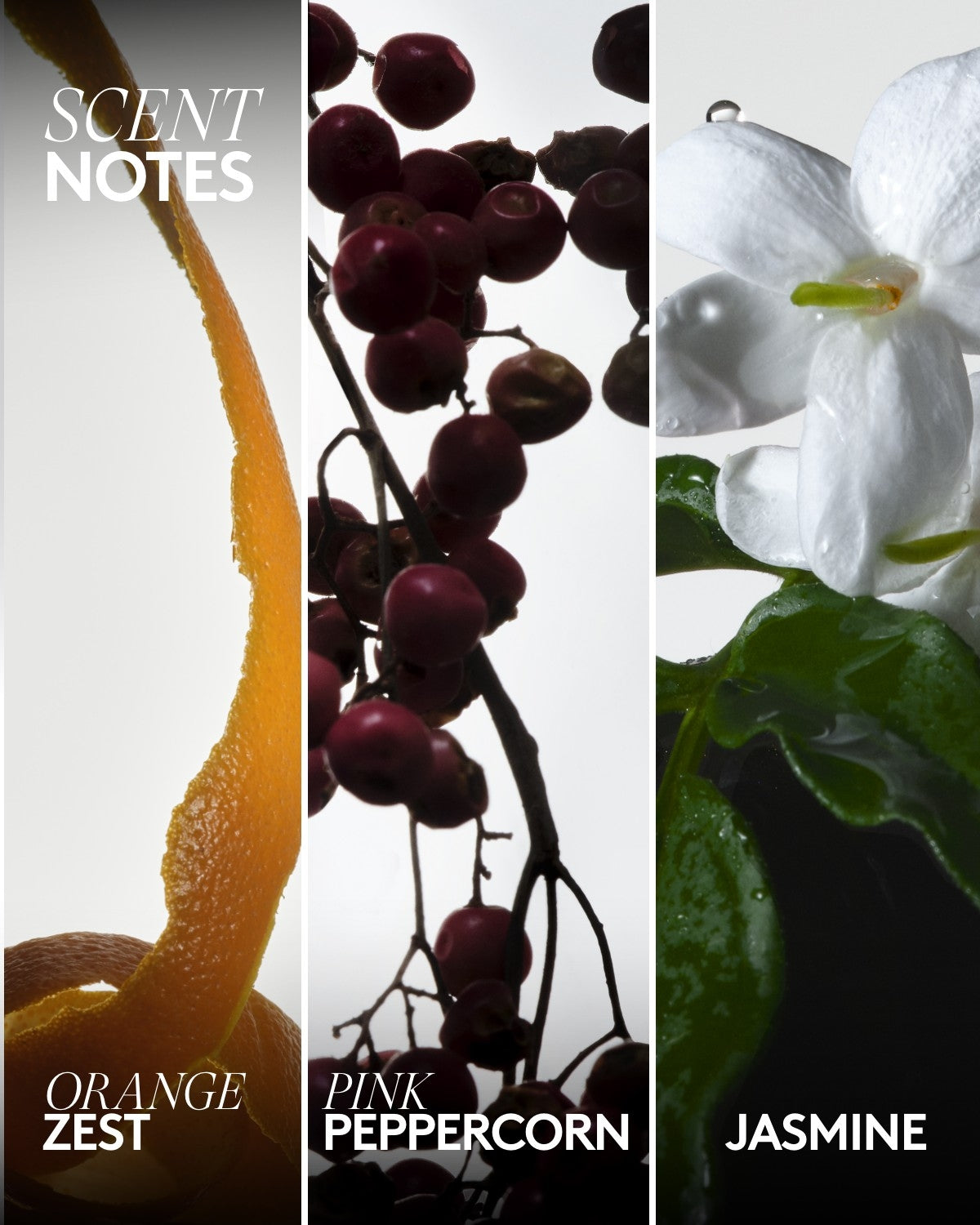 Big Dripp'r Body Wash — Hey, Bouquet