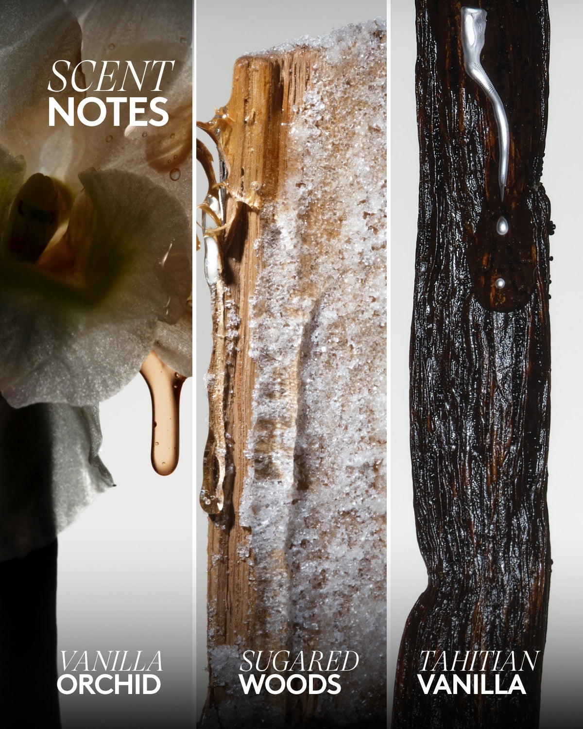 Lil' Mists Mini Body Mist Duo