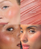 Duo Brush + Blush Set