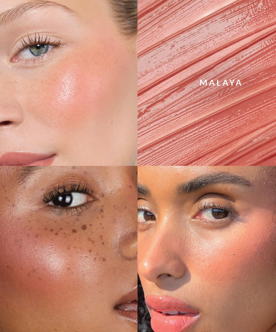 Duo Brush + Blush Set