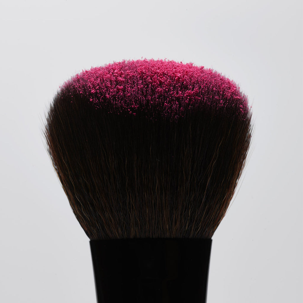 The Powder Blush Brush