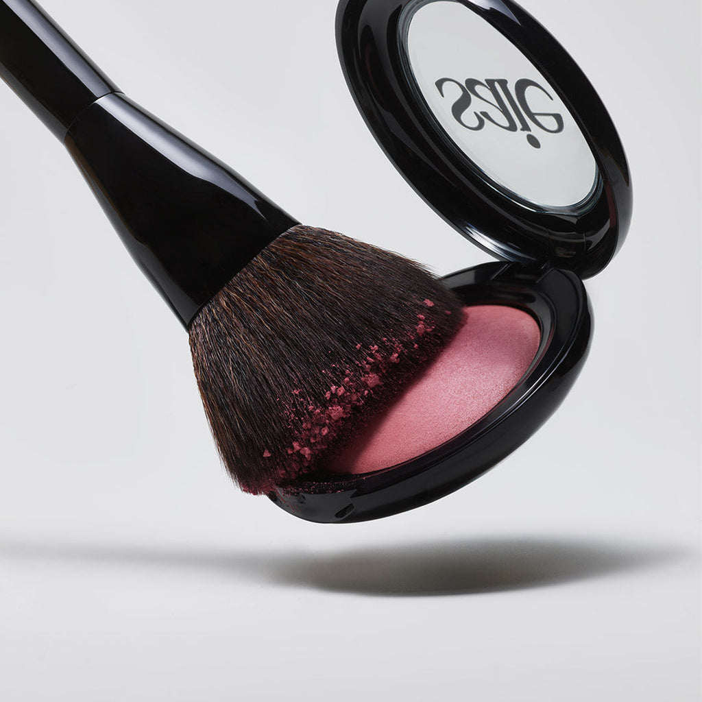 The Powder Blush Brush
